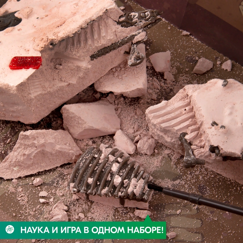 Набор 4M Скелет Трицератопса 00-03228. Фото 5