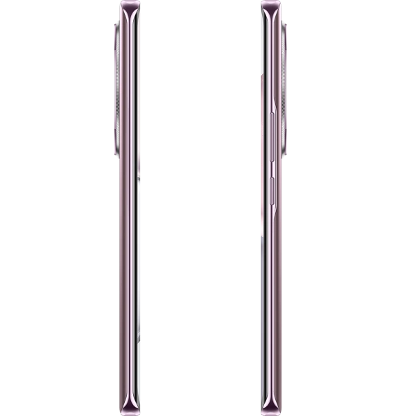 Смартфон Honor X9c 12/256Гб Титановый фиолетовый (BRP-NX1). Фото 10