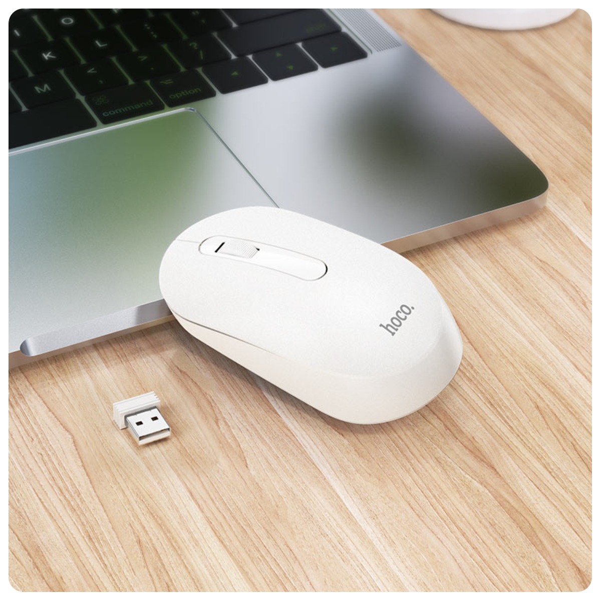 Hoco-GM14-Platinum-02