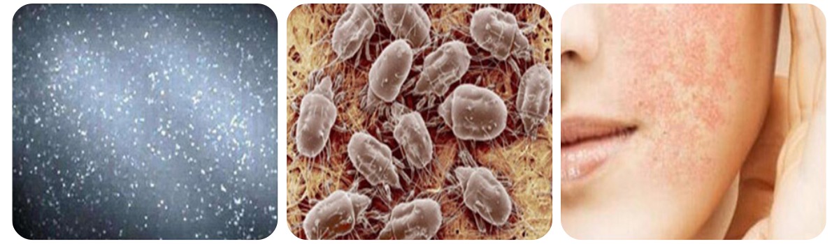 Deerma-Handheld-Vacuum-Cleaner-DX700-05